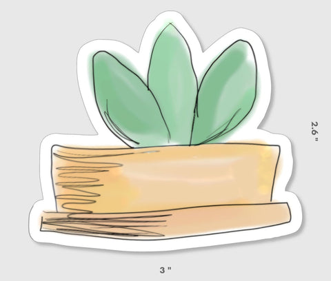 Baby Agave Succulent sticker