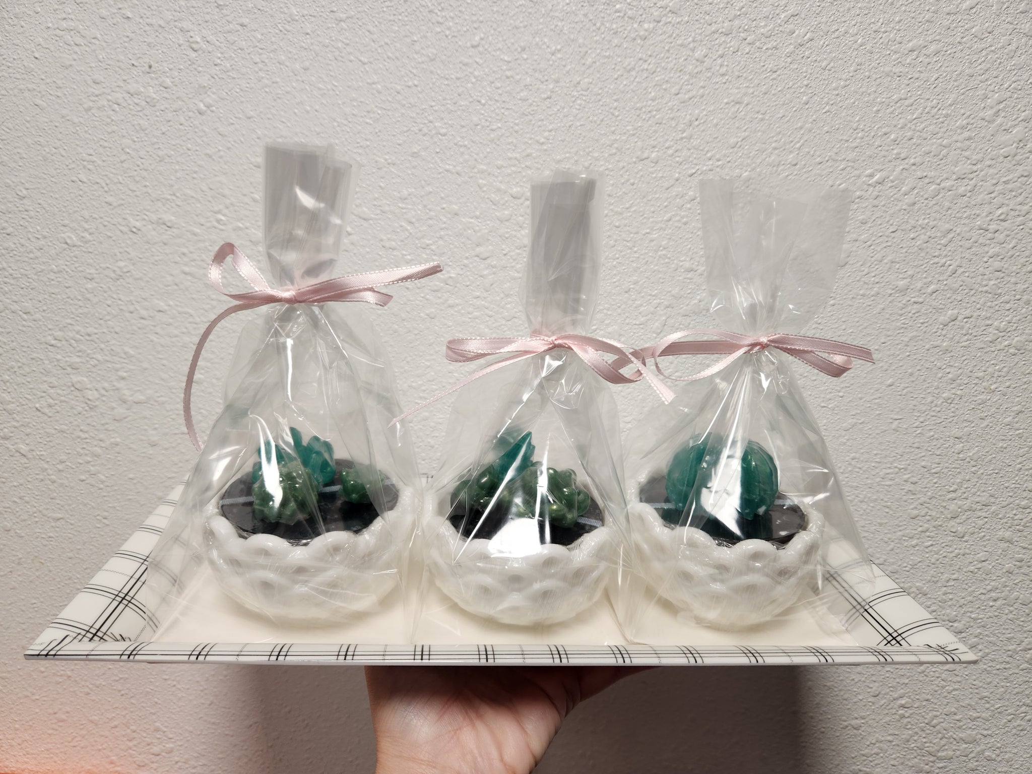 Succulant Soap Gift Set