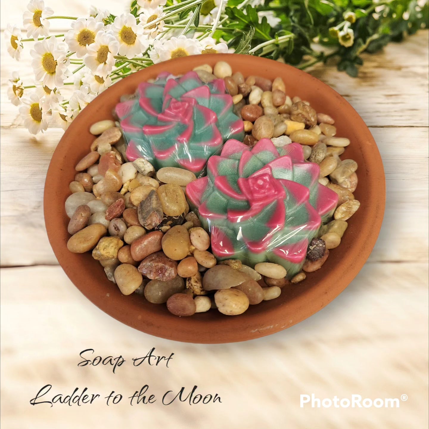 Lipstick Echeveria Soap